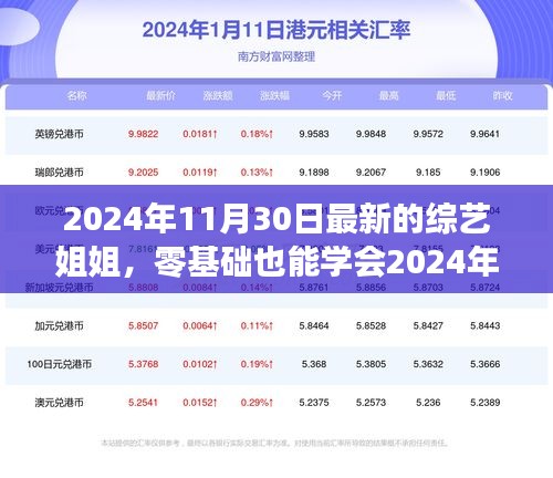 零基础也能学会，最新综艺姐姐参与全攻略（2024年11月版）