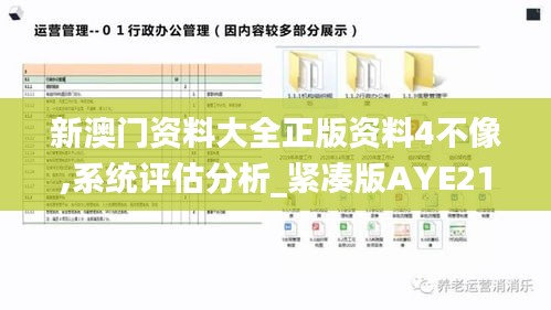 新澳门资料大全正版资料4不像,系统评估分析_紧凑版AYE21.240
