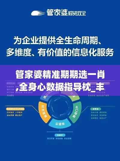 管家婆精准期期选一肖,全身心数据指导枕_丰富版LGO22.795