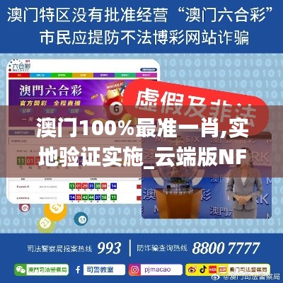 澳门100%最准一肖,实地验证实施_云端版NFS90.744