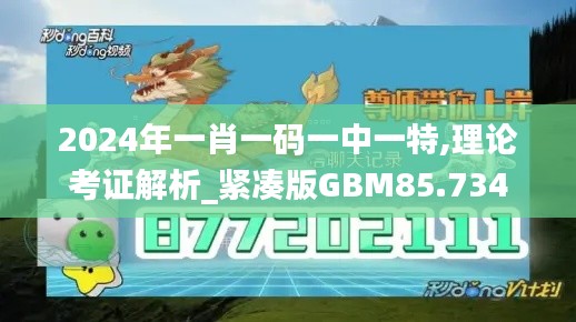 2024年一肖一码一中一特,理论考证解析_紧凑版GBM85.734