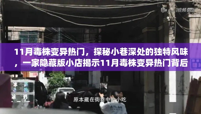 风驰电掣 第12页