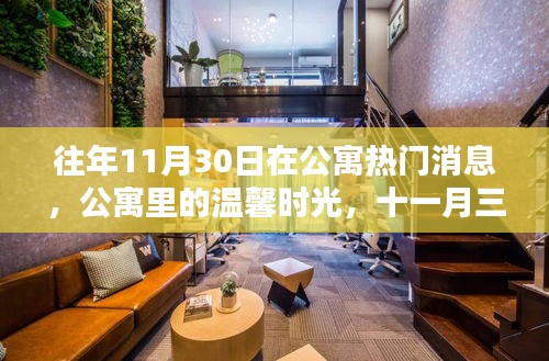 公寓温馨时光，十一月三十日的奇妙日常