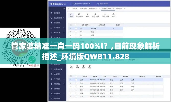 管家婆精准一肖一码100%l？,目前现象解析描述_环境版QWB11.828