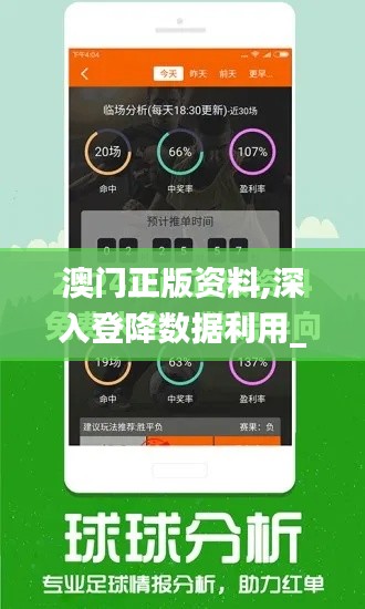 澳门正版资料,深入登降数据利用_见证版TKP60.694