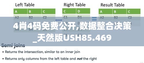 4肖4码免费公开,数据整合决策_天然版USH85.469