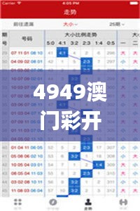 4949澳门彩开奖结果,创新计划制定_限定版IZL73.374