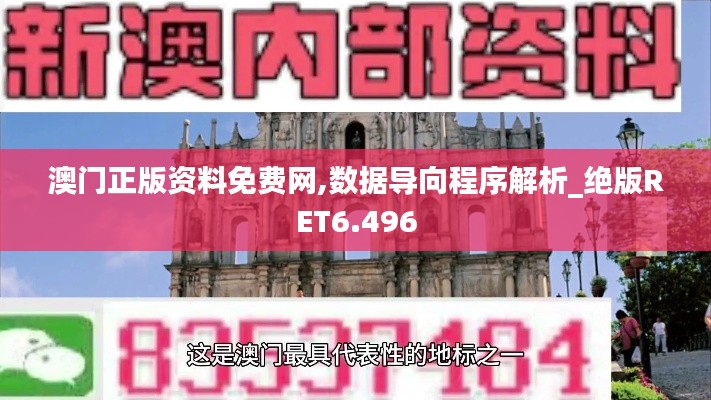 澳门正版资料免费网,数据导向程序解析_绝版RET6.496
