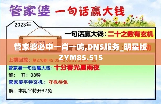 管家婆必中一肖一鸣,DNS服务_明星版ZYM85.515