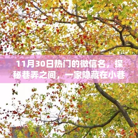 探秘巷弄深处的隐藏小店，微信名字背后的故事