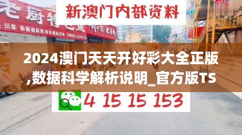 2024澳门天天开好彩大全正版,数据科学解析说明_官方版TSY25.872
