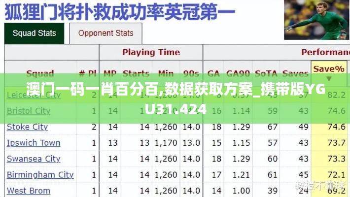 澳门一码一肖百分百,数据获取方案_携带版YGU31.424