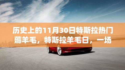 特斯拉羊毛日，一场温馨薅羊毛的奇妙历史之旅