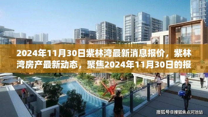 2024年紫林湾最新动态及报价深度解读，市场走向与个人观点
