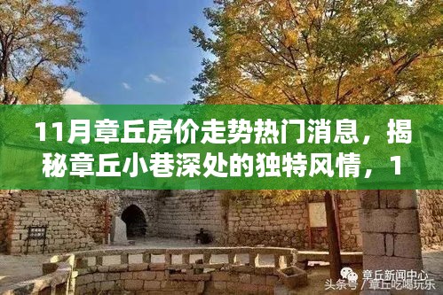 揭秘章丘11月房价走势与小巷深处的独特风情，隐藏宝藏的探寻之旅