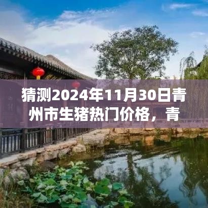青州巷陌探秘，未来生猪价格预测与独特小店魅力揭晓