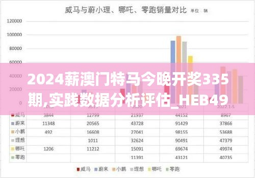2024薪澳门特马今晚开奖335期,实践数据分析评估_HEB49.731传递版