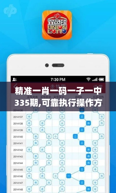 精准一肖一码一子一中335期,可靠执行操作方式_DTM37.279多媒体版