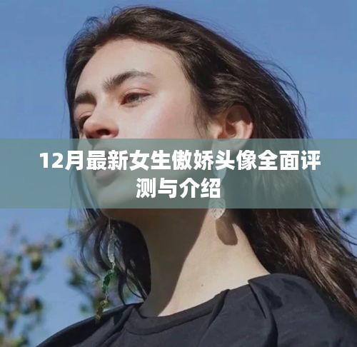 最新女生傲娇头像评测与介绍，12月版