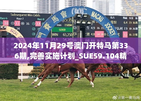2024年11月29号澳门开特马第336期,完善实施计划_SUE59.104精致生活版