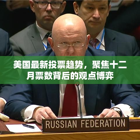 美国十二月投票趋势深度解析，票数背后的观点博弈