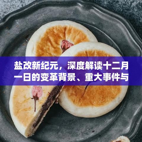 盐改新纪元，深度解读变革背景、重大事件与深远影响，十二月一日开启新篇章