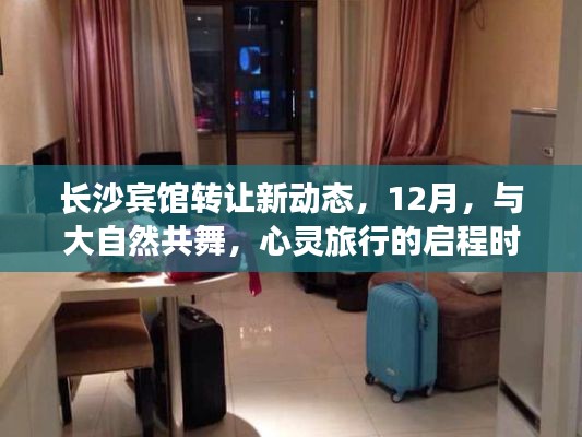 长沙宾馆转让新动态，与自然共舞的心灵旅行启程时刻（十二月版）