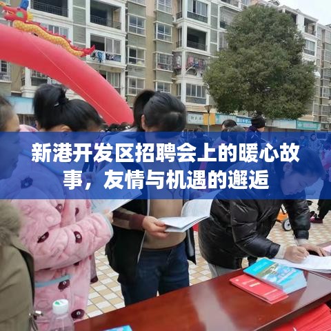 新港开发区招聘会，暖心故事与友情机遇的邂逅