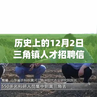 历史上的12月2日三角镇人才招聘信息深度解析