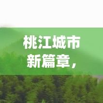 桃江城市新篇章，解读规划三大要点（最新12月版）