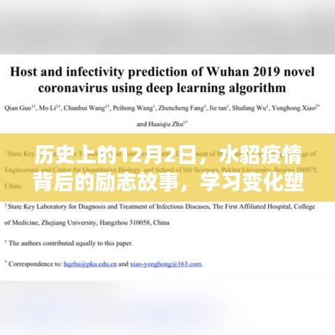 水貂疫情背后的励志故事，学习变化塑造自信与成就之路的启示