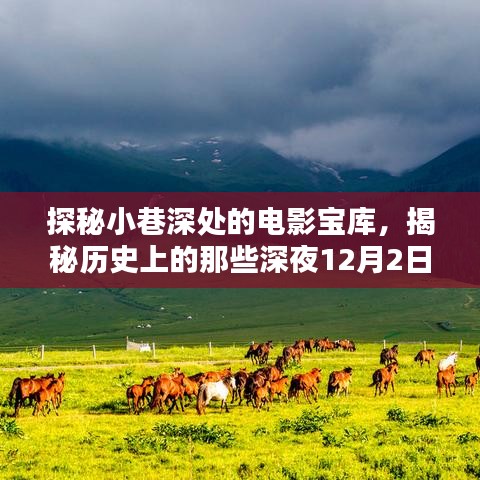 探秘小巷深处的电影宝库，神秘午夜电影之夜揭秘之旅