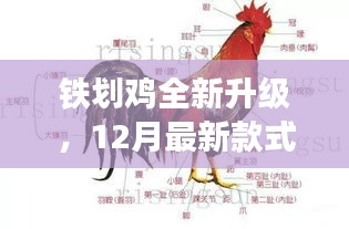 铁划鸡全新升级深度测评与12月最新款式介绍