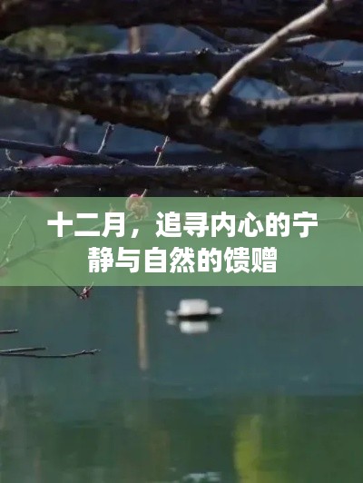 十二月，探寻内心宁静与自然馈赠的交融之道