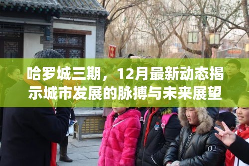 哈罗城三期最新动态，揭示城市发展的脉搏与未来展望