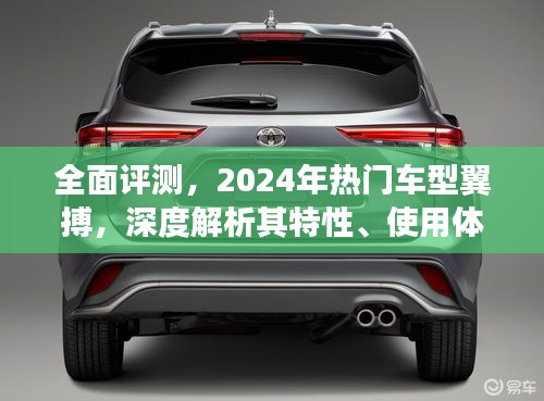 深度评测，翼搏车型特性解析、用户体验与目标用户群体探讨