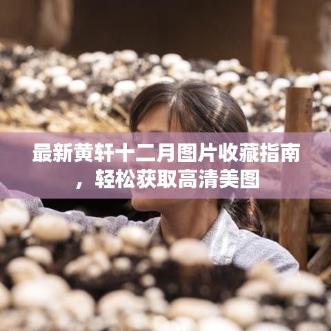 黄轩十二月高清美图收藏指南