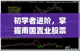 南国置业股票最新动态解析，揭秘历史股市风云，助力初学者进阶掌握股市动态