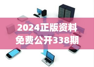 2024正版资料免费公开338期,实证数据解析说明_工具版13.568-2