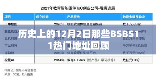 历史上的BSBS11热门地址回顾，那些值得纪念的12月2日瞬间