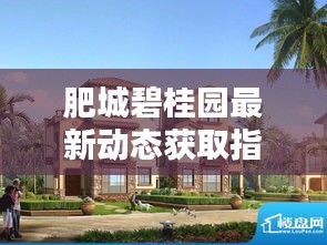 肥城碧桂园往年12月最新动态获取指南，轻松掌握最新动态信息速递
