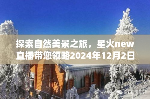 星火直播，探索自然美景的宁静之旅（2024年12月2日）