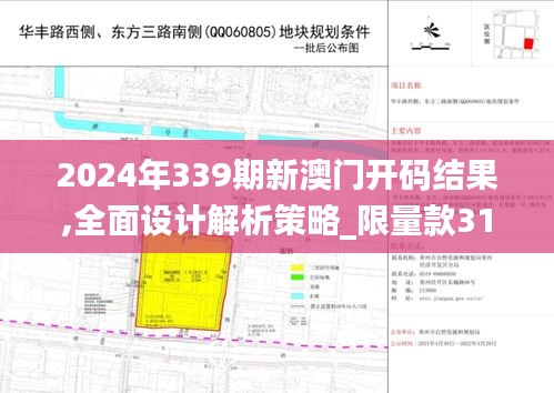 2024年339期新澳门开码结果,全面设计解析策略_限量款31.412-3