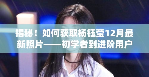 杨钰莹12月最新照片获取攻略，从初学者到进阶用户的全面指南