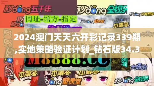 2024澳门天天六开彩记录339期,实地策略验证计划_钻石版34.380-8
