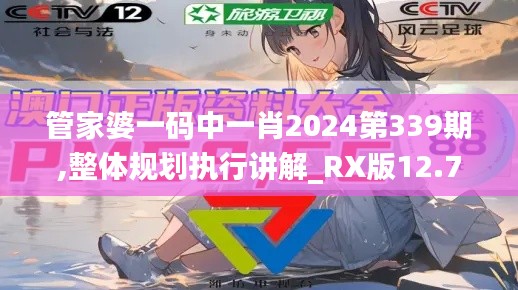 管家婆一码中一肖2024第339期,整体规划执行讲解_RX版12.706-5