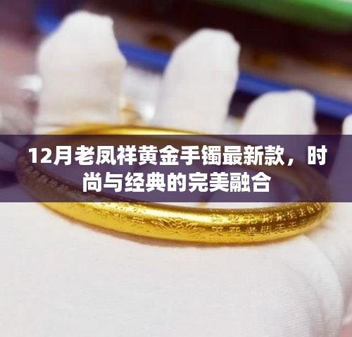 时尚与经典交融，老凤祥黄金手镯最新款，12月潮流之选
