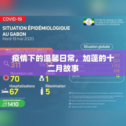 疫情下的加蓬温馨日常，十二月故事