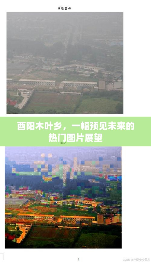 张牙舞爪 第8页
