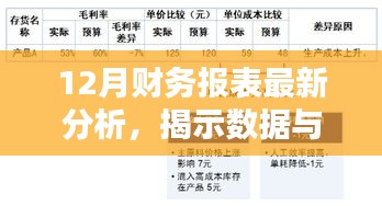 最新12月财务报表深度解析，数据与观点背后的逻辑揭秘